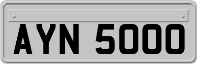 AYN5000