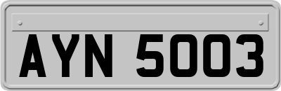 AYN5003