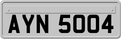 AYN5004