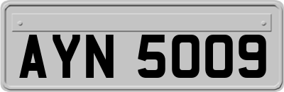 AYN5009