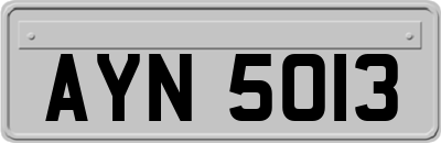 AYN5013