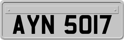 AYN5017