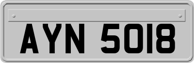 AYN5018