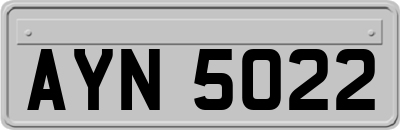 AYN5022