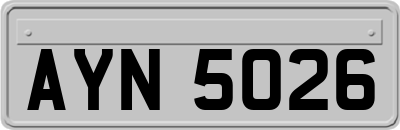 AYN5026
