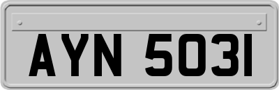 AYN5031