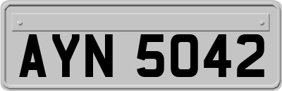AYN5042