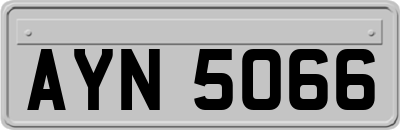 AYN5066