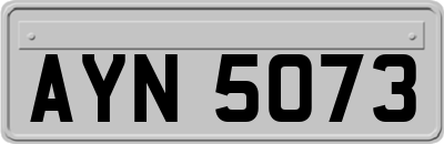 AYN5073