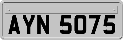 AYN5075