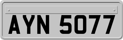 AYN5077
