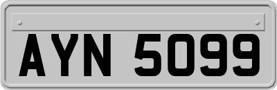 AYN5099