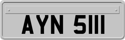 AYN5111