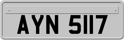 AYN5117
