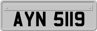 AYN5119