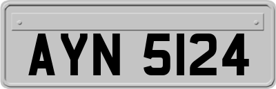 AYN5124