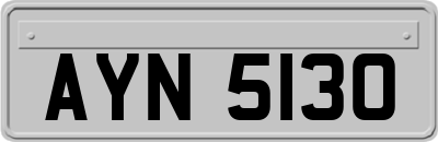 AYN5130