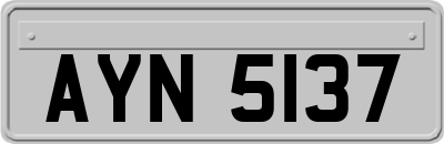 AYN5137