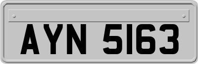 AYN5163