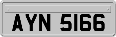 AYN5166