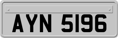 AYN5196