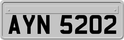 AYN5202