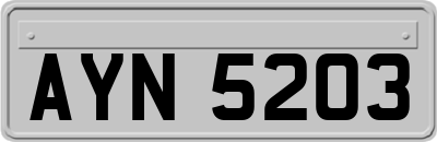 AYN5203