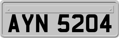 AYN5204