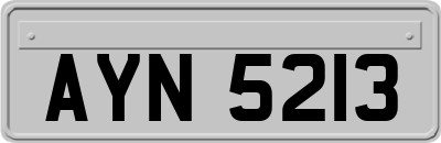 AYN5213