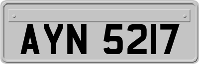 AYN5217