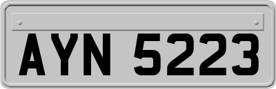 AYN5223