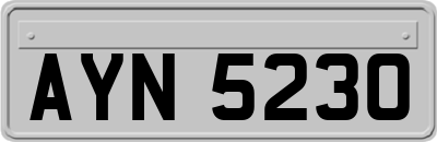 AYN5230