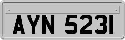 AYN5231