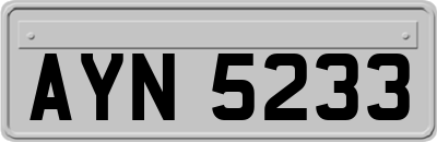 AYN5233