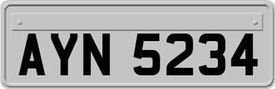 AYN5234