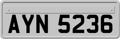 AYN5236