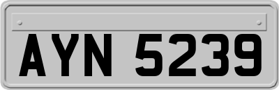 AYN5239