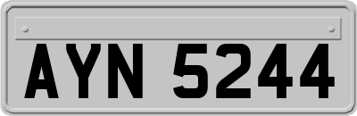 AYN5244