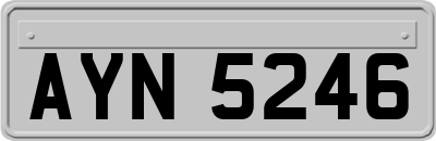 AYN5246