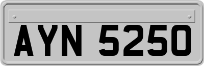AYN5250