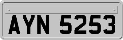 AYN5253
