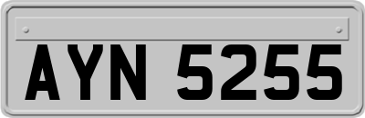 AYN5255