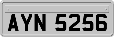 AYN5256