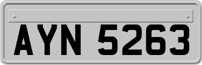 AYN5263