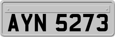 AYN5273