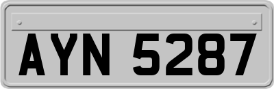 AYN5287