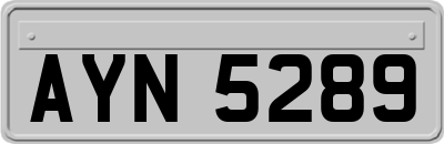 AYN5289