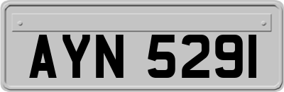 AYN5291