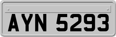 AYN5293