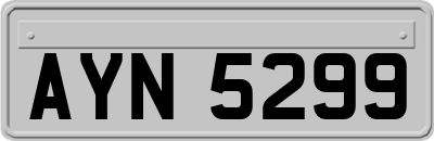 AYN5299